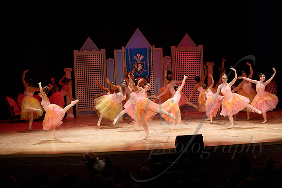 NEBT - SLEEPING BEAUTY - 2016-5194