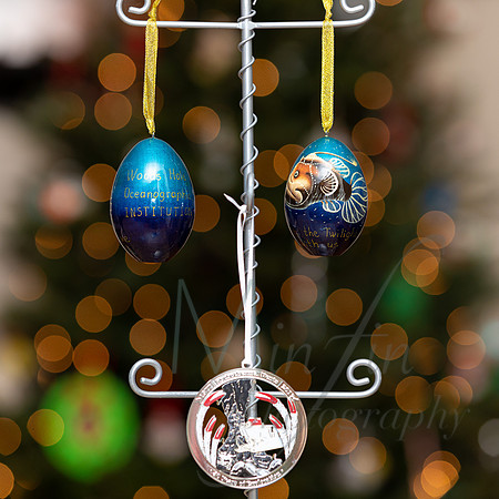 WHOI - XMAS - 2019-4