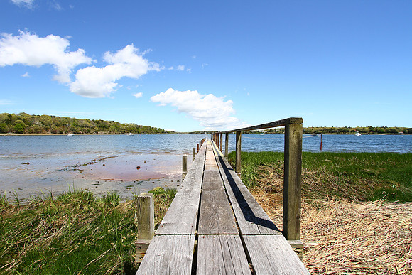 McLlaughlin - 34 Old Shore - 2014-304