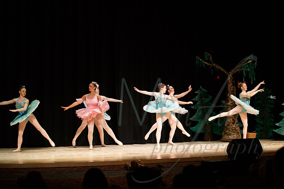NEBT - SLEEPING BEAUTY - 2016-5123