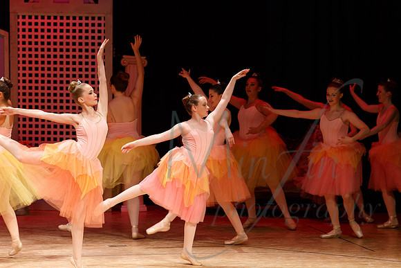 NEBT - SLEEPING BEAUTY - 2016-5165
