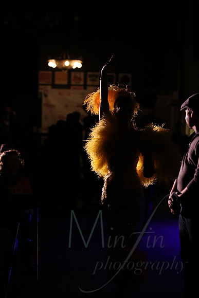Brazen Belles - Vermont Burlesque Festival - 2015-9239
