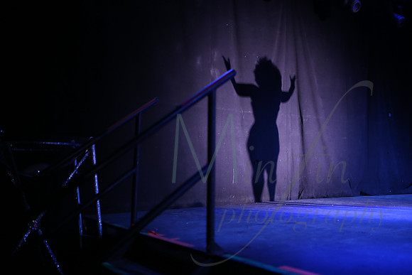 Brazen Belles - Vermont Burlesque Festival - 2015-8595