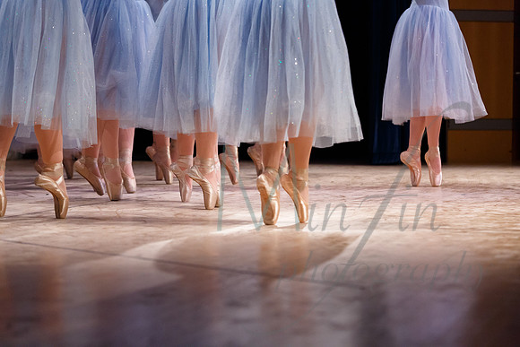 NEBT - Nutcracker - 2014-4301