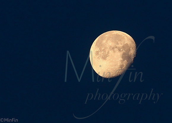 where da moon go