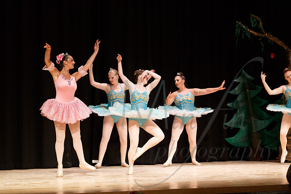 NEBT - SLEEPING BEAUTY - 2016-5151