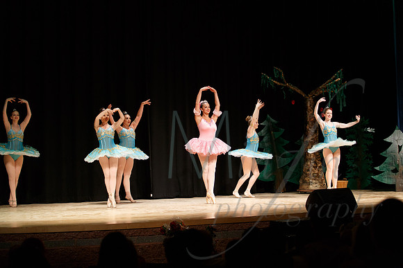 NEBT - SLEEPING BEAUTY - 2016-5126