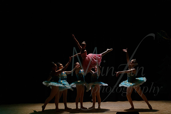 NEBT - SLEEPING BEAUTY - 2016-4899