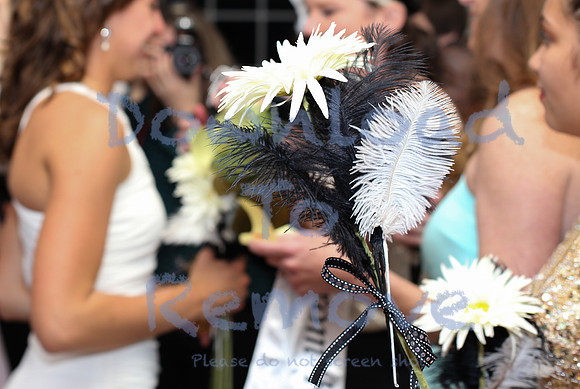 FALMOUTH PROM - 7D - 2014-273