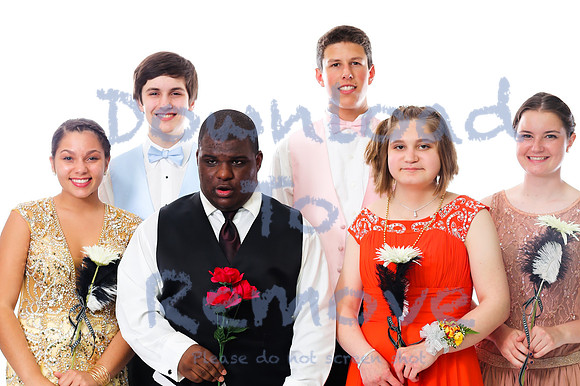 FALMOUTH PROM - 7D - 2014-281