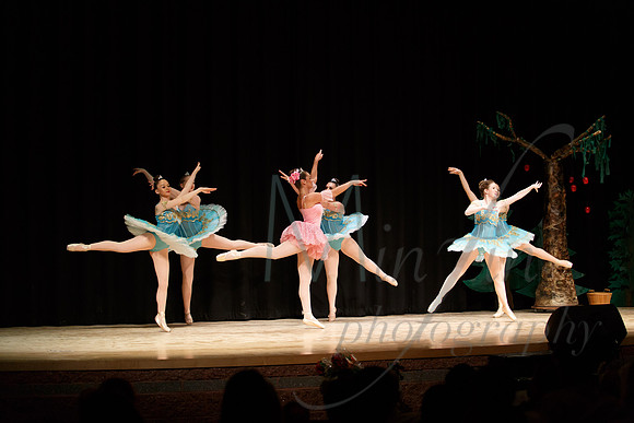 NEBT - SLEEPING BEAUTY - 2016-5127