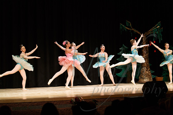 NEBT - SLEEPING BEAUTY - 2016-5119