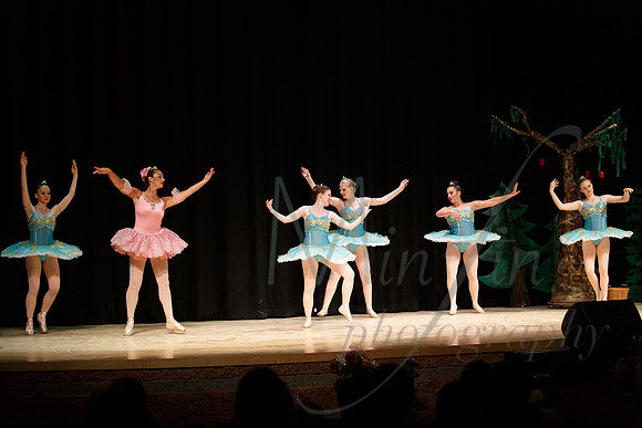 NEBT - SLEEPING BEAUTY - 2016-5130