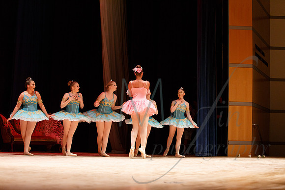 NEBT - SLEEPING BEAUTY - 2016-5435