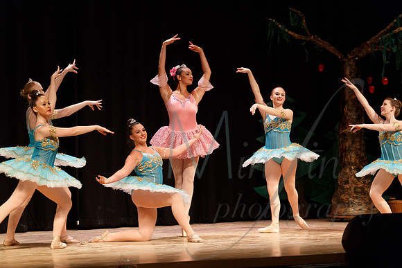 NEBT - SLEEPING BEAUTY - 2016-5157