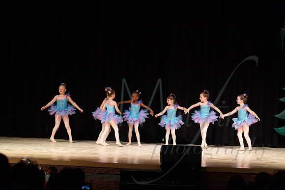 NEBT - SLEEPING BEAUTY - 2016-4984