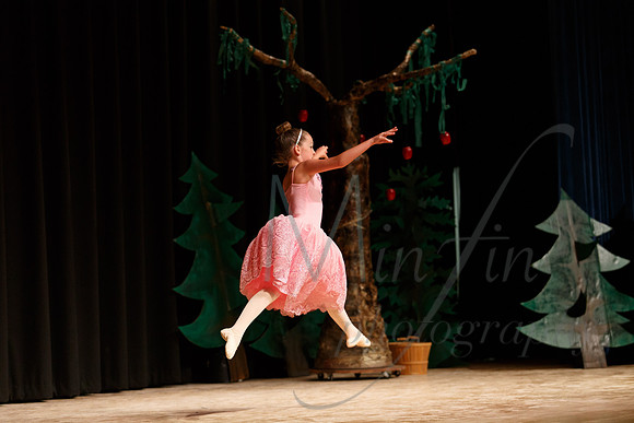 NEBT - SLEEPING BEAUTY - 2016-5084