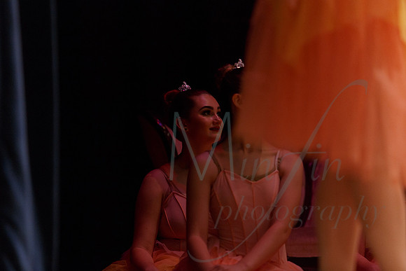 NEBT - SLEEPING BEAUTY - 2016-5375