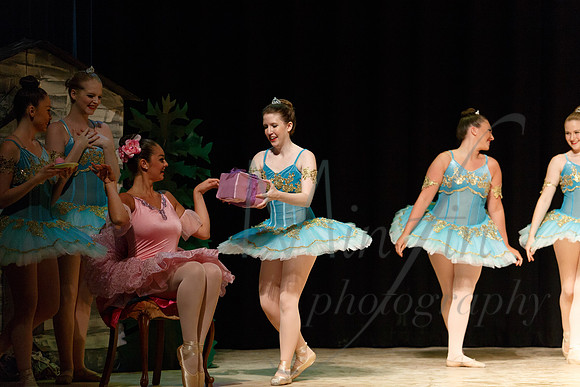 NEBT - SLEEPING BEAUTY - 2016-5109