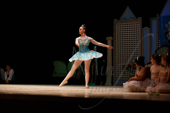 NEBT - SLEEPING BEAUTY - 2016-5800