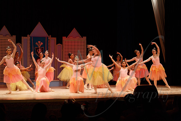 NEBT - SLEEPING BEAUTY - 2016-5264
