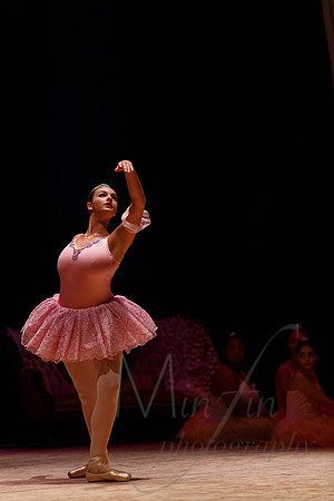 NEBT - SLEEPING BEAUTY - 2016-5274