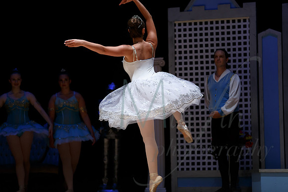 NEBT - SLEEPING BEAUTY - 2016-5877