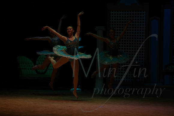 NEBT - SLEEPING BEAUTY - 2016-5703