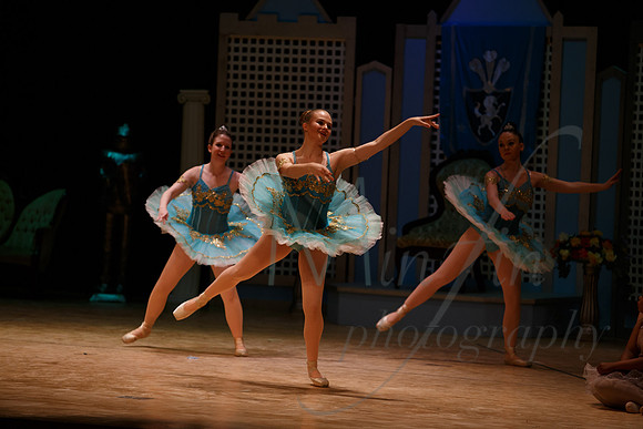 NEBT - SLEEPING BEAUTY - 2016-5710