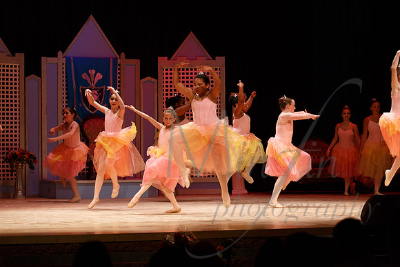 NEBT - SLEEPING BEAUTY - 2016-5230