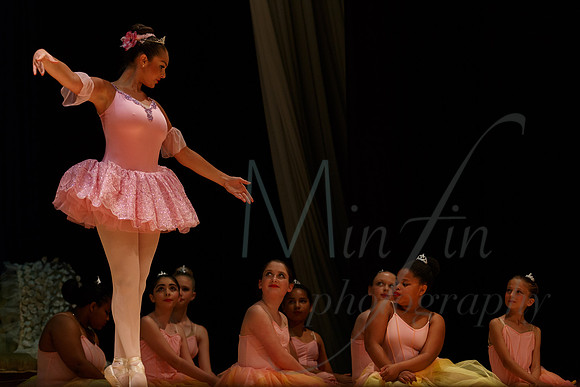 NEBT - SLEEPING BEAUTY - 2016-5360