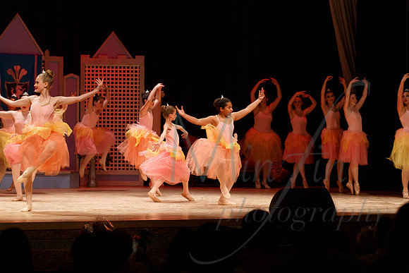 NEBT - SLEEPING BEAUTY - 2016-5238