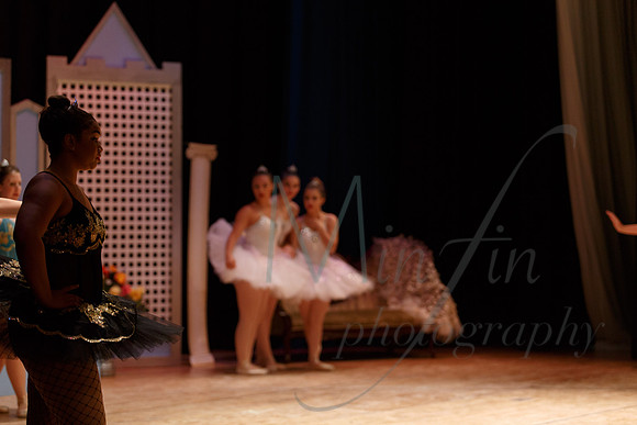NEBT - SLEEPING BEAUTY - 2016-4820