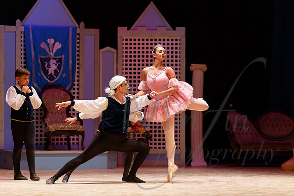NEBT - SLEEPING BEAUTY - 2016-5412
