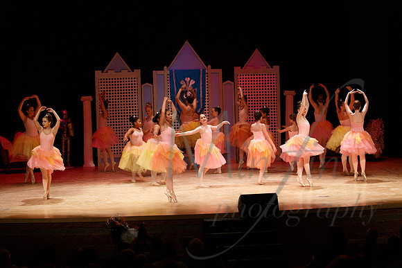 NEBT - SLEEPING BEAUTY - 2016-5195