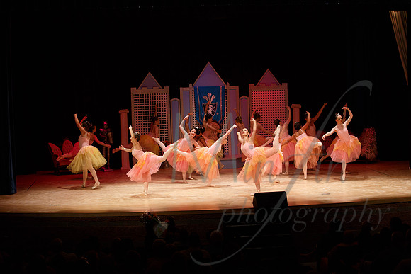 NEBT - SLEEPING BEAUTY - 2016-5192