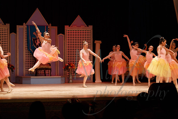 NEBT - SLEEPING BEAUTY - 2016-5245