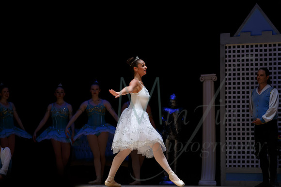 NEBT - SLEEPING BEAUTY - 2016-5876