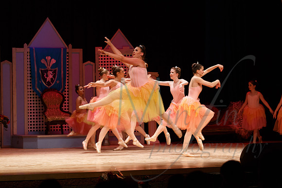 NEBT - SLEEPING BEAUTY - 2016-5225