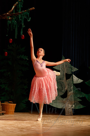 NEBT - SLEEPING BEAUTY - 2016-5075