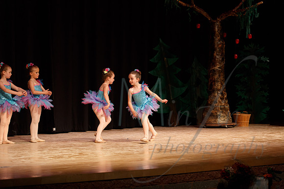 NEBT - SLEEPING BEAUTY - 2016-5068