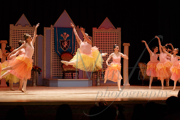 NEBT - SLEEPING BEAUTY - 2016-5249