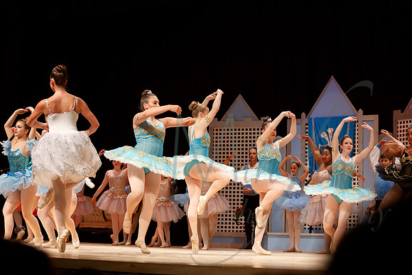 NEBT - SLEEPING BEAUTY - 2016-5913