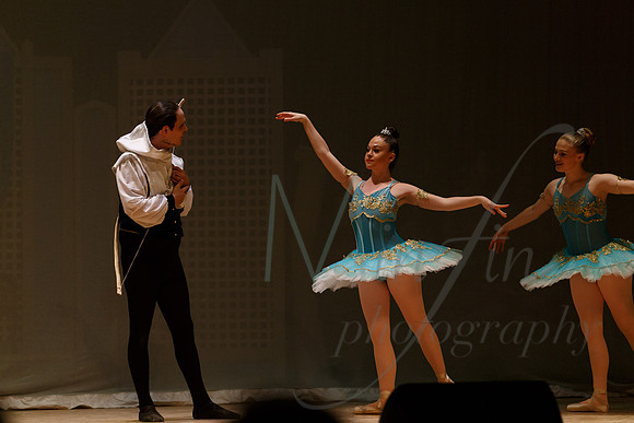 NEBT - SLEEPING BEAUTY - 2016-5466
