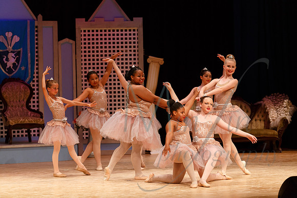 NEBT - SLEEPING BEAUTY - 2016-5642