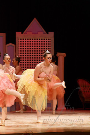 NEBT - SLEEPING BEAUTY - 2016-5215